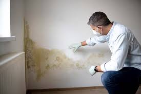 Environmental Consulting for Mold Prevention in Gilcrest, CO